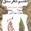 کتاب طلسم شهر سنگی | انتشارات نیستان