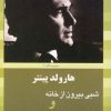 کتاب شبی بیرون از خانه | انتشارات سبزان