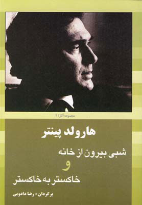 کتاب شبی بیرون از خانه | انتشارات سبزان
