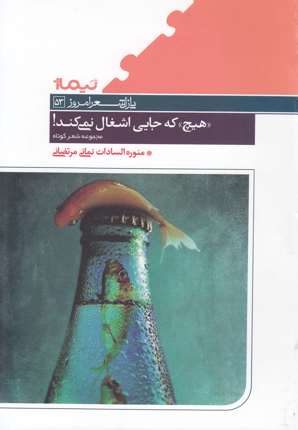 کتاب "هیچ " که جایی اشغال نمی کند | انتشارات نیماژ