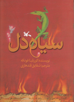 کتاب مجموعه سیاه دل | انتشارات کانون پرورش فکری کودکان و نوجوانان