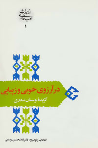 کتاب در آرزوی خوبی و زیبایی | انتشارات سخن