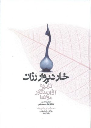 کتاب خار دیوار رزان | انتشارات معین