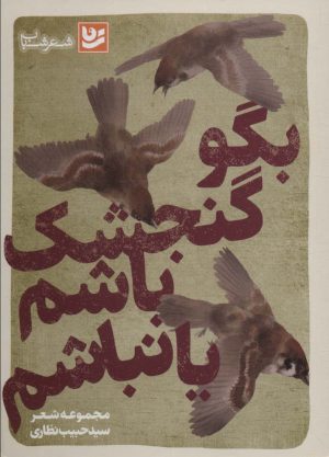 کتاب بگو گنجشک باشم یا نباشم | انتشارات نشر گویا