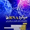 کتاب میکرو RNA ها | انتشارات زرین اندیشمند