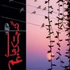 کتاب گنجشک های غم | انتشارات شادان
