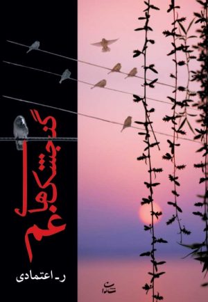 کتاب گنجشک های غم | انتشارات شادان