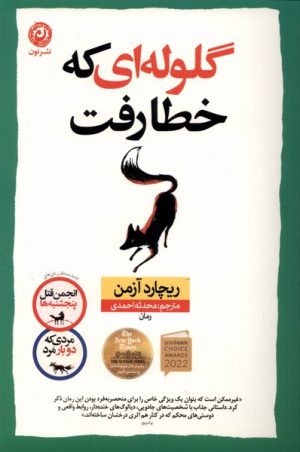 کتاب گلوله ای که خطا رفت | انتشارات نشر نون