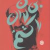 کتاب من بن لادن را کشتم | انتشارات آرادمان