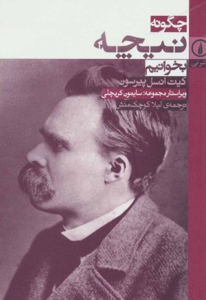کتاب چگونه نیچه بخوانیم | انتشارات نشر نی
