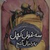 کتاب سه غول کچل به دنبال گنج | انتشارات محراب قلم