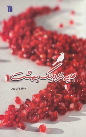 کتاب جایی نزدیک بهشت | انتشارات سروش