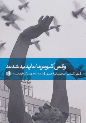 کتاب وقتی کبوتر ها ناپدید شدند | انتشارات بیدگل