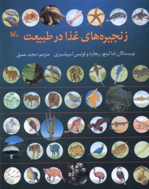کتاب زنجیره‌های غذا در طبیعت | انتشارات کانون پرورش فکری کودکان و نوجوانان