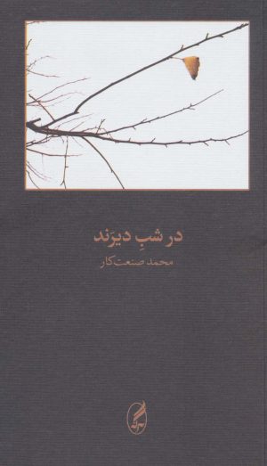 کتاب در شب دیرند | انتشارات آگه