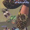 کتاب کفش و صندل های روفرشی پارچه ای | انتشارات بین المللی حافظ