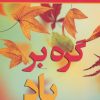 کتاب گره بر باد | انتشارات نسل نواندیش