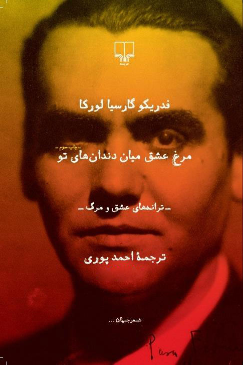 کتاب مرغ عشق میان دندان های تو | انتشارات نشر چشمه