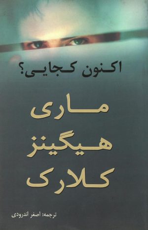 کتاب اکنون کجایی؟ | انتشارات در دانش بهمن