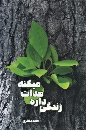 کتاب زندگی داره صدات میکنه | انتشارات بهجت