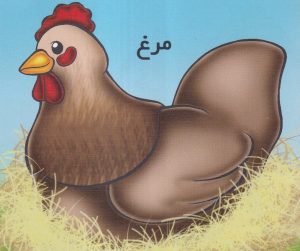 کتاب مرغ | انتشارات خانه ادبیات