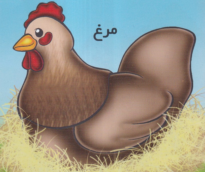 کتاب مرغ | انتشارات خانه ادبیات
