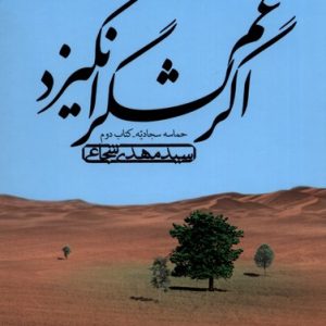 کتاب اگر غم لشگر انگیزد | انتشارات نیستان