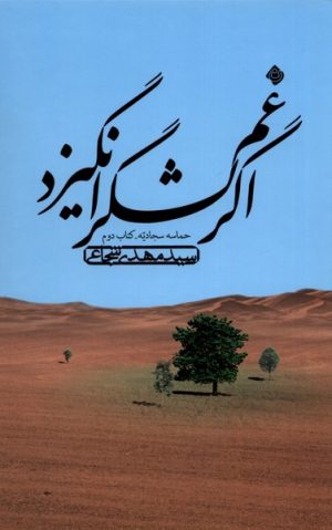 کتاب اگر غم لشگر انگیزد | انتشارات نیستان