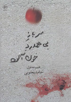 کتاب سرباز بی همدرد خون آلود | انتشارات فصل پنجم