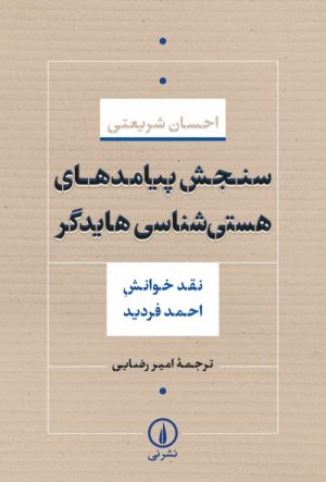 کتاب سنجش پیامدهای هستی شناسی هایدگر | انتشارات نشر نی