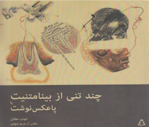 کتاب چند تنی از بینامتنیت | انتشارات افراز