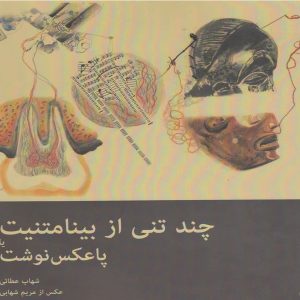 کتاب چند تنی از بینامتنیت | انتشارات افراز