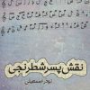 کتاب نقش پسر شطرنجی | انتشارات شورآفرین