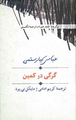 کتاب گرگی در کمین | انتشارات سخن