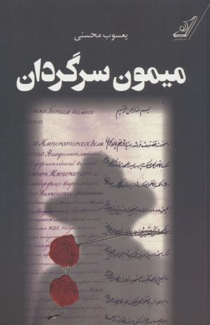 کتاب میمون سرگردان | انتشارات کتاب کوله پشتی