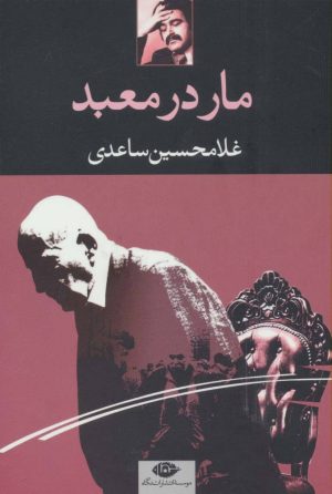 کتاب مار در معبد | انتشارات نگاه
