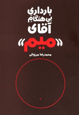 کتاب بارداری بی هنگام آقای میم | انتشارات روشنگران و مطالعات زنان