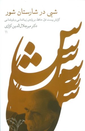 کتاب شبی در شارستان شور | انتشارات نشر گویا