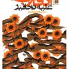 کتاب انقلاب علیه تحقیر | انتشارات ذکر