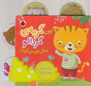 کتاب این گربه گردالو دنبال چی می گرده | انتشارات شهر قلم