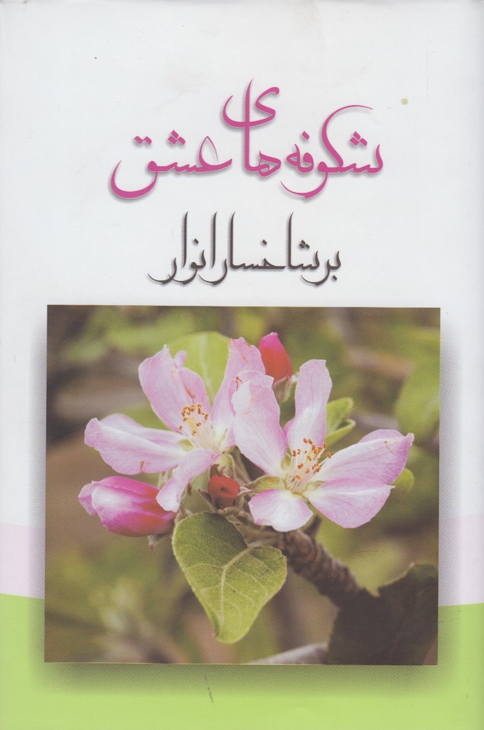 کتاب شکوفه های عشق بر شاخسار انوار | انتشارات فراروان