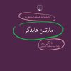 کتاب مارتین هایدگر | انتشارات ققنوس