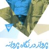 کتاب پرواز در نگاه پروانه | انتشارات سوره مهر
