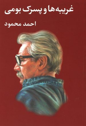 کتاب غریبه ها و پسرک بومی | انتشارات معین