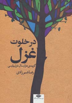 کتاب در خلوت غزل | انتشارات نگاه