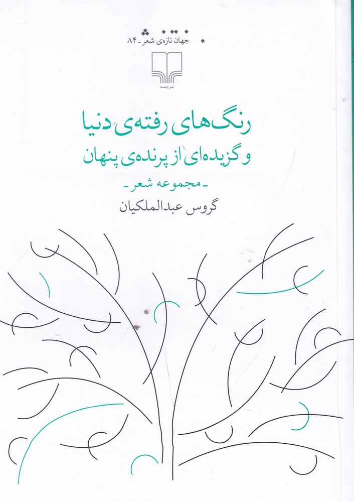 کتاب رنگ های رفته ی دنیا | انتشارات نشر چشمه