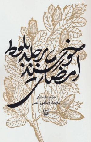 کتاب امضای خورشید بر جلد بلوط | انتشارات سوره مهر
