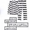 کتاب رستاخیز درخت کاج | انتشارات مروارید