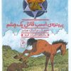 کتاب هنک؛ سگ گاوچران 8 | انتشارات نشر چشمه