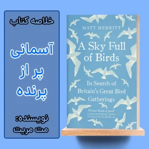 خلاصه کتاب آسمان پر از پرنده اثر مت مریت